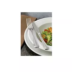 World Tableware McIntosh Dinner Knife - 164 5501 663/164 550