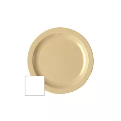 Cambro camwear plate, 10