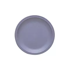 Cambro camwear narrow rim plate, blue, 9