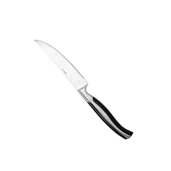 Oneida Caspian Serrated Steak Knife, 9.25