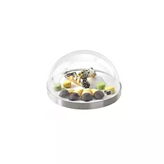 Cal-Mil Round Chill Sampler Display with Flip Lid(3328-12-55)