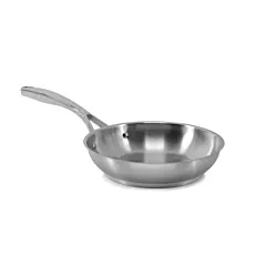 Signaturewares stainless steel frypan, stainless finish, 9.5