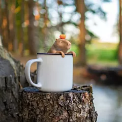Fred Capybarahh Tea Infuser