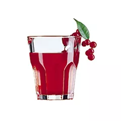 Arcoroc granite rocks verre, 9 oz 4dz - j2614 2150/j2614