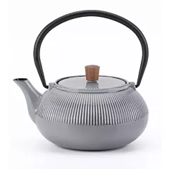 Minimal 20Oz Grey Enameled Cast Iron Tea Pot Dot Pattern