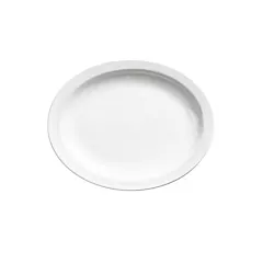 Browne palm ceramic oval platter, white, 13