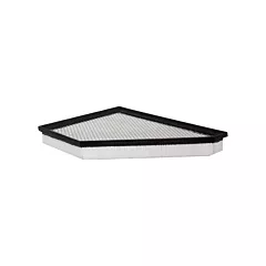 Baldwin Filters Élément d'air pour panneau (PA10076)