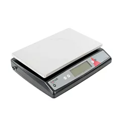 Balance numérique de contrôle des portions Taylor 22 lb / 10 kg avec plateforme surdimensionnée