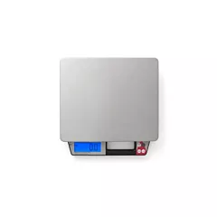 Taylor 22 kg Digital Portion Control Scale with Handle