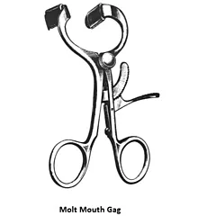 Valuemed Molt Mouth Gag Adult Size