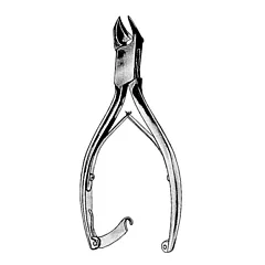 Nail Nipper, Angled, 5.5