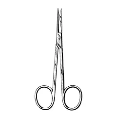 Iris Scissor Straight SS 4.5