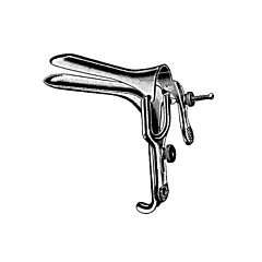 Graves Vaginal Speculum, Large, 115mm x 35mm, Stainless Steel - Floor Quality (VMAMG604520)