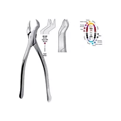 BMT GD - TOOTH FORCEP, UPPER MOLAR, RIGHT, #88R (VMBMT-AM-88R)