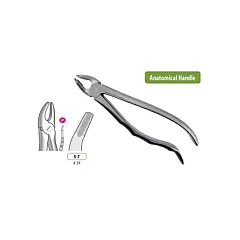 BMT Extraction Forceps Upper Premolars #7> (VMBMT-S-7)