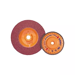 Walter Surface Technologies Disque à lamelles Stainless Enduro-Flex(MC)