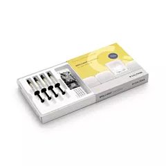 Coltene Brilliant Everglow Flow Composite Starter Kit, 4x2g Syringes