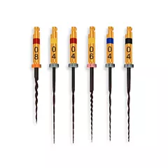 Coltene Hyflex CM NiTi File 25mm, 6/pack 