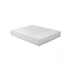 Baldwin Filters Cabin Air Element