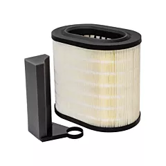 Baldwin Filters Élément de filtre à air avec tampon en mousse (PA10061)