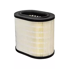 Baldwin Filters Élément de filtre à air avec tampon en mousse (PA10068)