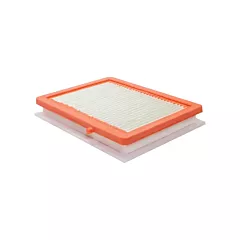 Baldwin Filters Élément d'air pour panneau avec tampon en mousse (PA10091)