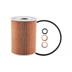 Baldwin Filters Filtre hydraulique (P40105)