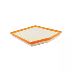 Baldwin Filters Élément d'air pour panneau (PA10319)