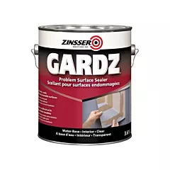Zinsser Gardz® Problem Surface Sealer