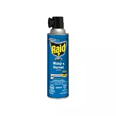 SC Johnson Raid® Wasp & Hornet Bug Killer, 400 g, Solvent Base (1.00623E+13)