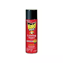 SC Johnson Raid® Max® Crawling Insect Bug Killer, 500 g, Aerosol Can, Solvent Base (1.00623E+13)