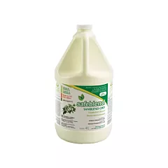 Safeblend Nettoyant désinfectant OXY à l'huile de menthe poivrée, 4 L, Cruche (SRXPG04)