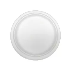 Plaques jetables en fibre moulée, 8-3/4