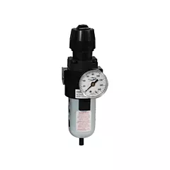 Dixon Group Wilkerson Compact Filter/Regulator, 1/2