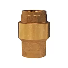 Dixon Group Spring-Loaded Check Valve