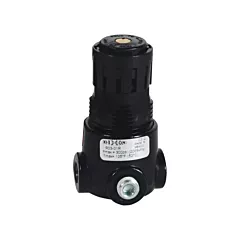 Dixon Group Wilkerson Miniature Regulator R03
