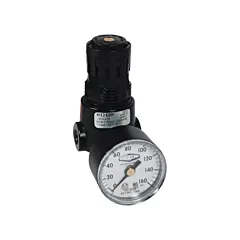 Dixon Group Wilkerson Miniature Regulator R04, 1/4