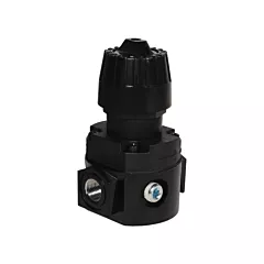 Dixon Group Wilkerson Compact Regulator R16, 1/4