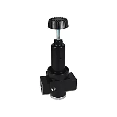 Dixon Group Wilkerson High Flow Regulator R30