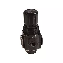 Dixon Group Series 1 Manifold Regulator, 1/4