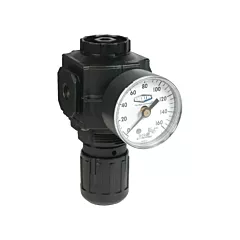 Dixon Group Series 1 Compact Regulator, 1/2