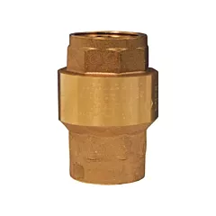 Dixon Group Horizontal Swing Check Valve, 1