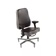 Synetik Flex™ Ergonomic Chair, 19-3/4