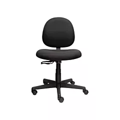 Horizon Aspen™ Low Back Posture Task Chair, 17-1/2