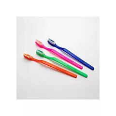 Plak Smacker MintBurst Prepasted Toothbrushes Assorted 144/PKG