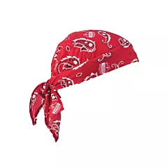 Ergodyne Chill-Its® 6710 Cooling Triangle Hats
