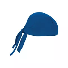 Ergodyne Chill-Its® 6615 Cooling Dew Rags