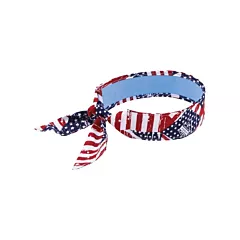 Ergodyne Chill-Its 6700CT Cooling Bandanas, Multi-Colour (12561)