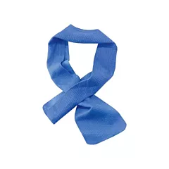 Ergodyne Chill-Its® 6603 Evaporative Cooling Band, Blue (12418)