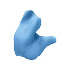 Radians Custom Molded Earplugs, Uncorded, 26 NRR dB, One-Size, None, Pair - Retail Box (CEP002-B)